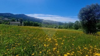 Land for sale in Vieira do Minho, Portugal — €49,900