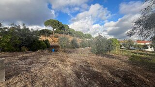 Land for sale in Coruche, Portugal — €40,000
