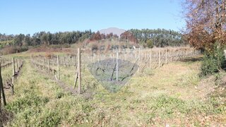 Land for sale in Felgueiras, Portugal — €75,000