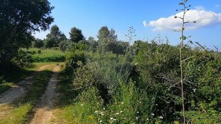 Land for sale in Torres Novas, Portugal — €10,500
