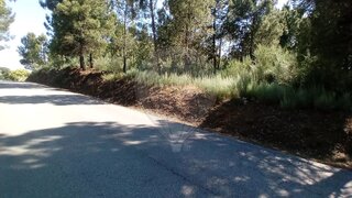 Terreno em Moimenta da Beira