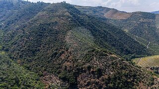 Land for sale in Tabuaço, Portugal — €40,000