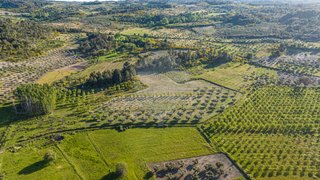 Land for sale in Valpaços, Portugal — €44,250