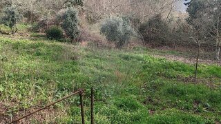 Terreno em Vouzela