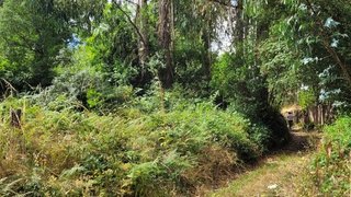 Land for sale in Sertã, Portugal — €12,000