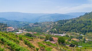 Land for sale in Baião, Portugal — €62,500