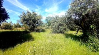Land for sale in Penamacor, Portugal — €6,500