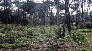 Land for sale in Sintra, Portugal — €55,000