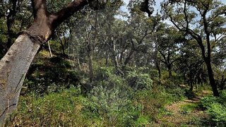 Land for sale in Odemira, Portugal — €55,000