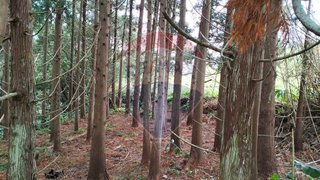Land for sale in Ribeira Grande, Portugal — €24,000