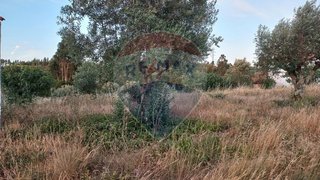 Land for sale in Tomar, Portugal — €14,960