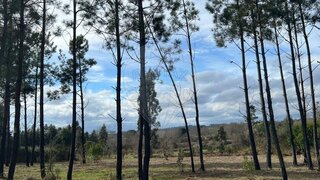 Terreno em Viseu