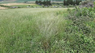 Land for sale in Lagoa (Açores), Portugal — €400,000