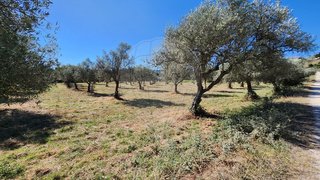 Land for sale in Penamacor, Portugal — €45,000