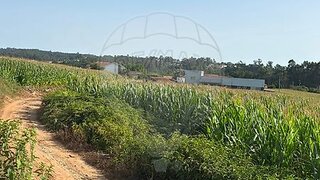 Land for sale in Barcelos, Portugal — €10,000