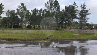 Land for sale in Entroncamento, Portugal — €59,000