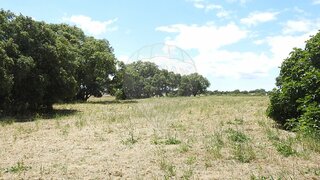 Land for sale in Alcochete, Portugal — €806,740