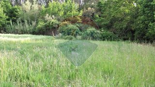 Land for sale in Sertã, Portugal — €8,000