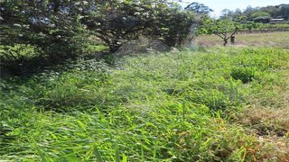 Terreno em Penamacor