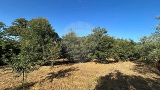 Land for sale in Sátão, Portugal — €25,000