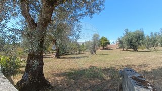 Land for sale in Ansião, Portugal — €40,000
