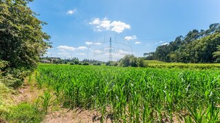 Land for sale in Vila Verde, Portugal — €308,000