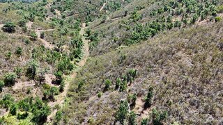 Land for sale in Odemira, Portugal — €31,000