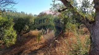Land for sale in Abrantes, Portugal — €3,500