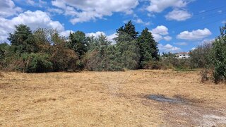 Land for sale in Nelas, Portugal — €87,000