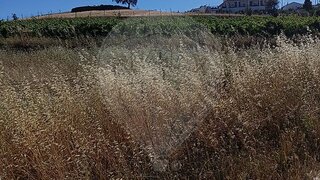 Land for sale in Redondo, Portugal — €41,500