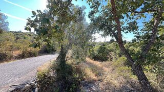 Land for sale in Tomar, Portugal — €15,000