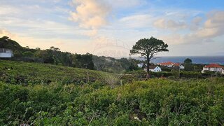 Land for sale in São Roque do Pico, Portugal — €380,000