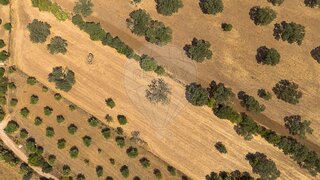 Land for sale in Reguengos de Monsaraz, Portugal — €60,000