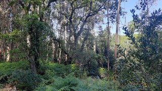 Land for sale in Pombal, Portugal — €7,500