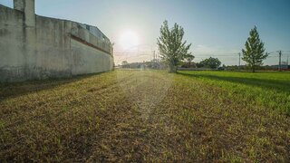 Land for sale in Murtosa, Portugal — €25,000