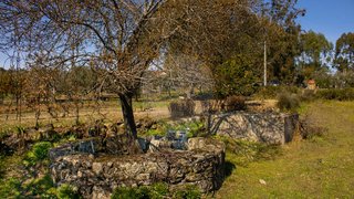 Land for sale in Penamacor, Portugal — €25,000