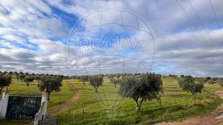 Land for sale in Beja, Portugal — €375,000
