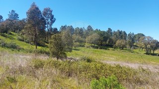 Land for sale in Abrantes, Portugal — €10,000