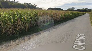 Land for sale in Águeda, Portugal — €7,000