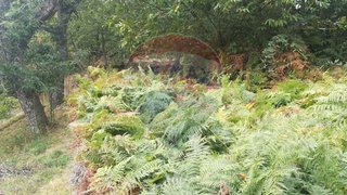 Terreno em Penedono