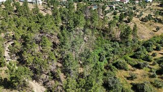 Terreno de 7524 m² em Castelo Branco