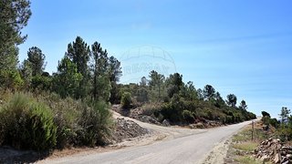 Terreno em Sabrosa
