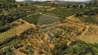 Land for sale in Fundão, Portugal — €38,500