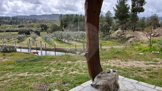 Land for sale in Sabugal, Portugal — €56,000