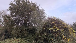 Land for sale in Valença, Portugal — €7,500