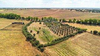 Land for sale in Mourão, Portugal — €95,000