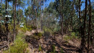 Land for sale in Salvaterra de Magos, Portugal — €57,500