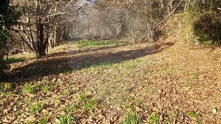 Land for sale in Amares, Portugal — €15,000