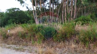 Land for sale in Tomar, Portugal — €6,500