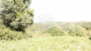 Terreno em Azambuja · 14 640 m² · 27 500 €